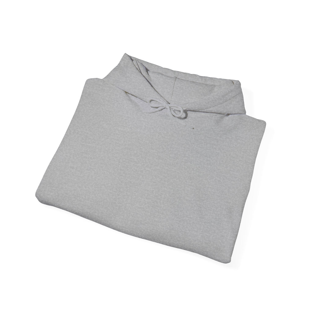 MR Circle Logo Hoodie — Pullover